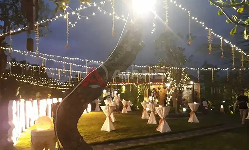 İstanbul Nikah Kokteyli organizasyon hizmeti
